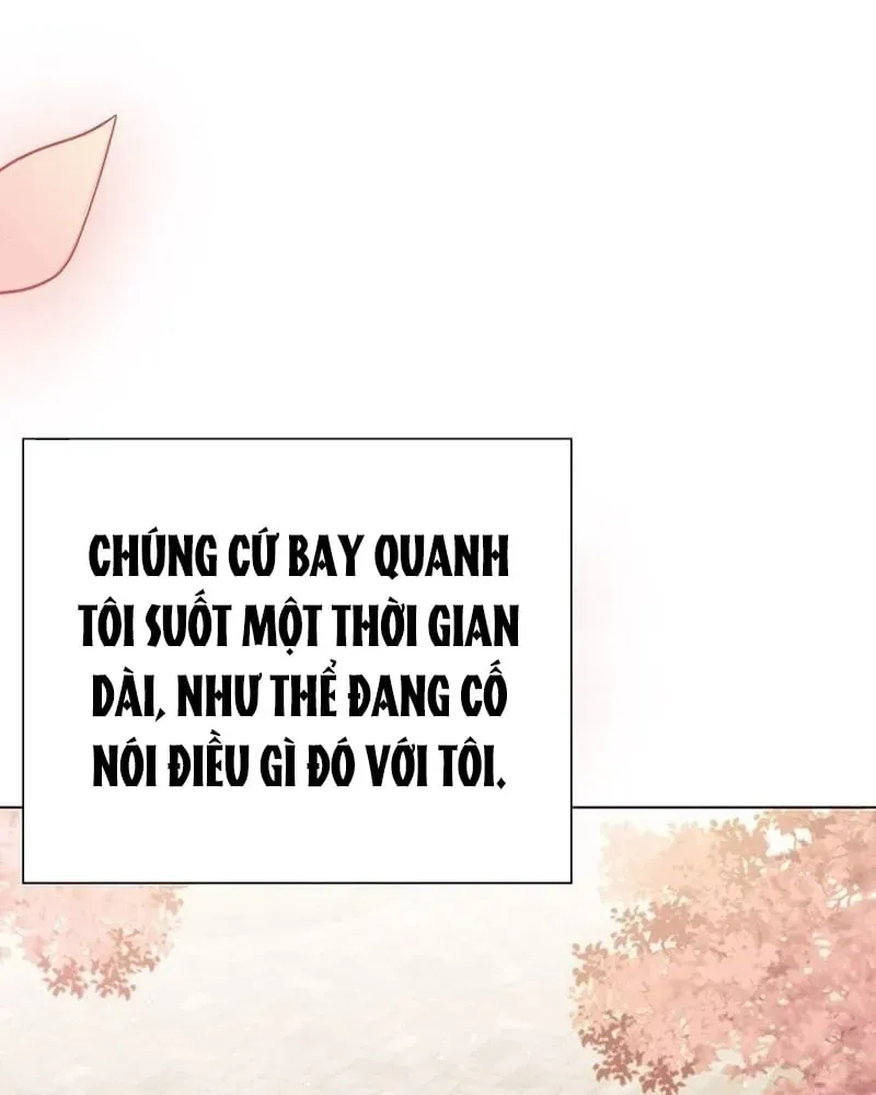 Chính Trị Gia Nhìn Thấu Vận Mệnh Chap 1