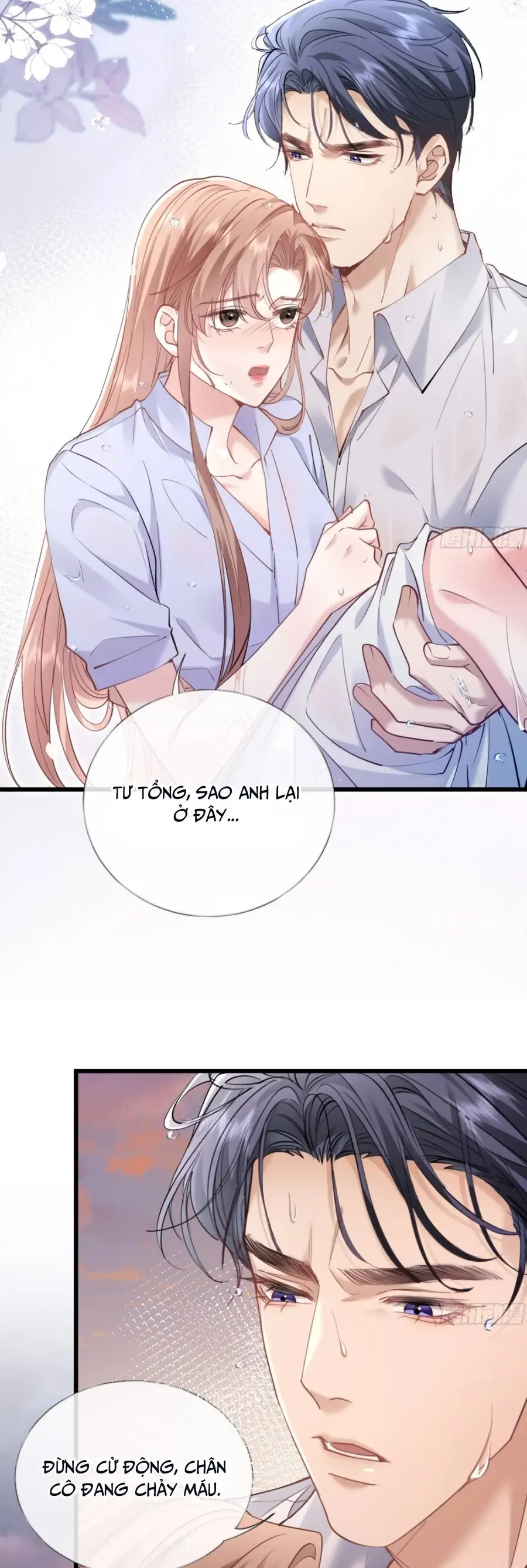 Từ Chối Hiến Thận, Tôi Trở Thành Mợ Út Của Người Yêu Cũ Chap 25 - Next Chap 24