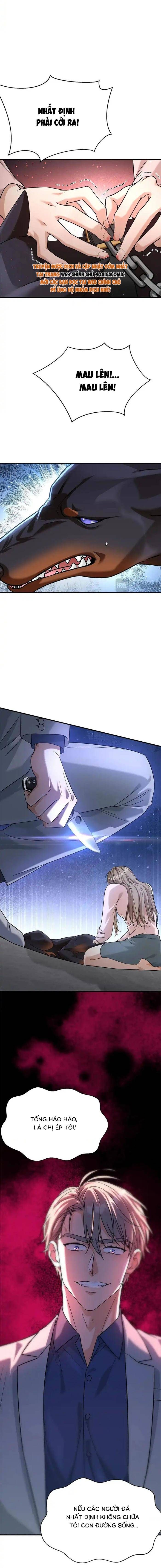 Tổng Tài Chó Chap 55 - Next Chap 54