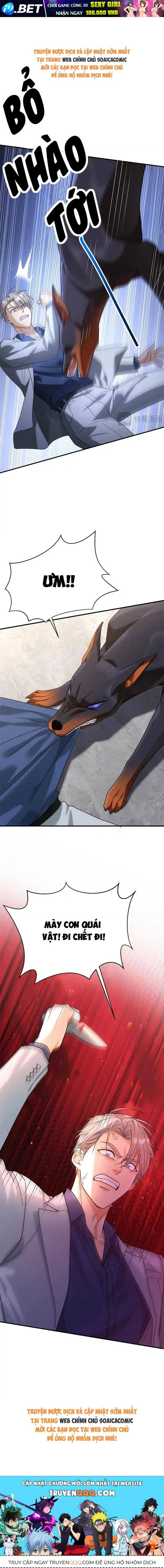 Tổng Tài Chó Chap 55 - Next Chap 54