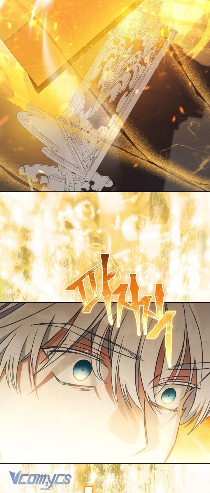 Sự Điều Trị Đặc Biệt Của Tinh Linh Chap 116 - Next Chap 115