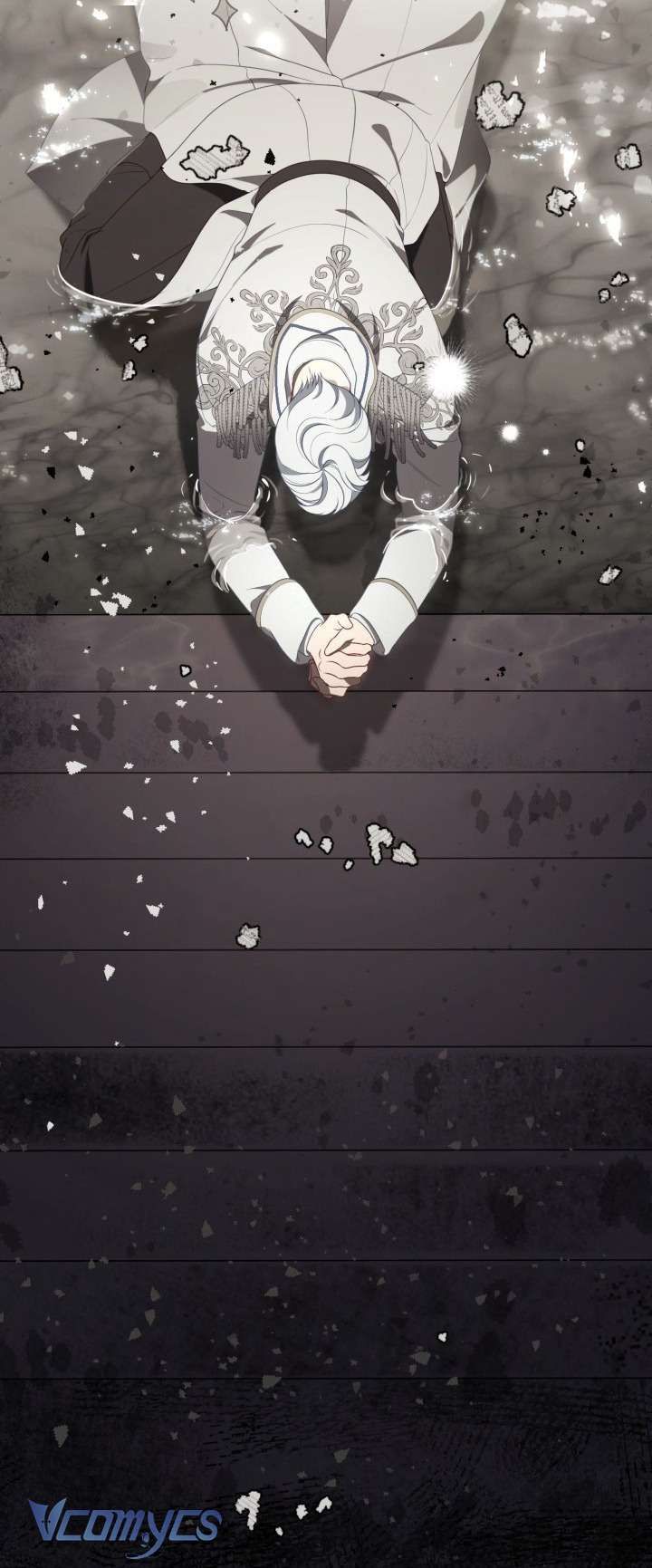 Sự Điều Trị Đặc Biệt Của Tinh Linh Chap 116 - Next Chap 115