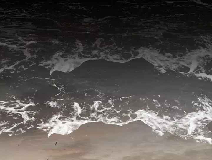 Ác Chi Hoàn Chap 76 - Next Chap 75