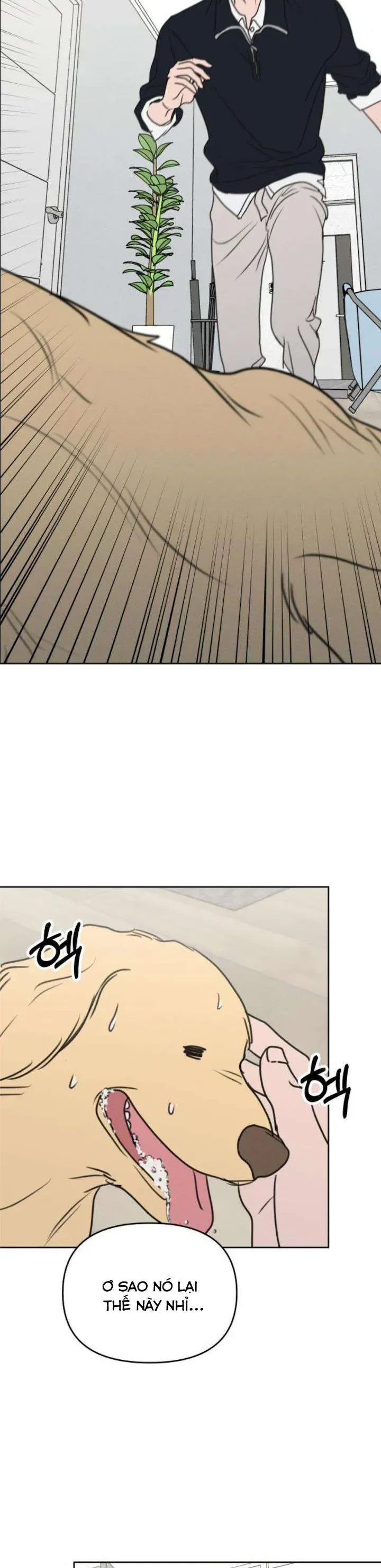 Muốn Được Lừa Dối Chap 32 - Next Chap 31