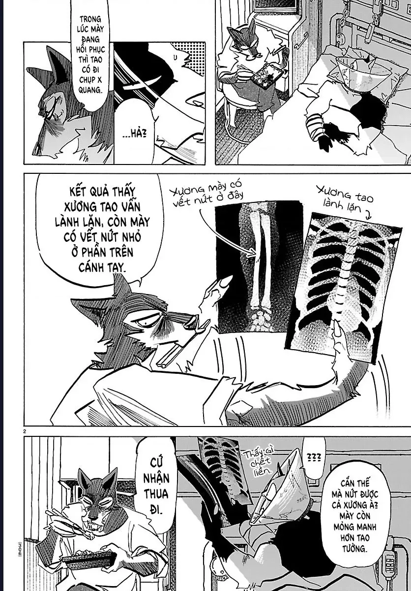 Lý Trí Của Taika Chap 48 - Next Chap 47