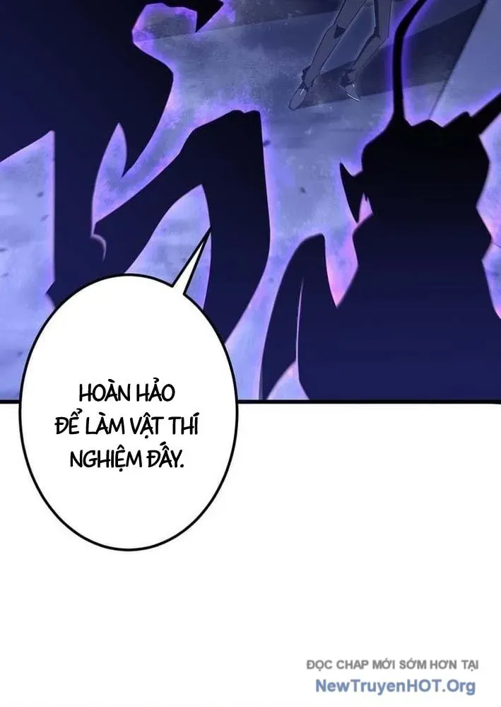 Bậc Thầy Bẫy Toàn Trí Toàn Năng Chap 5 - Next Chap 4