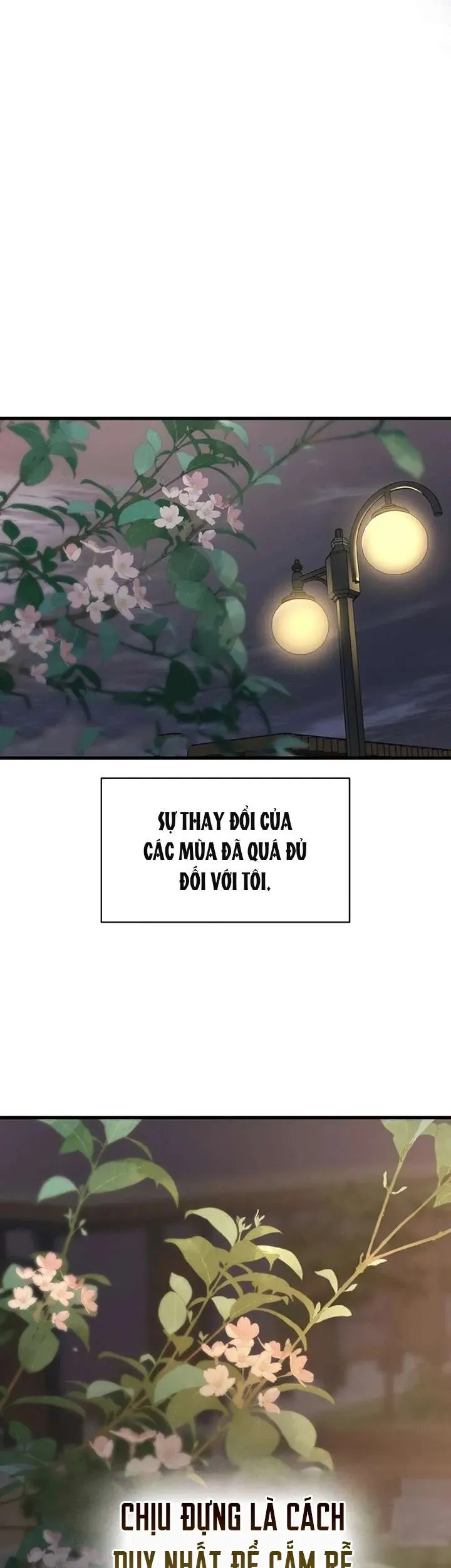 Sự Thâm Nhập Dịu Dàng Chap 28 - Next Chap 27