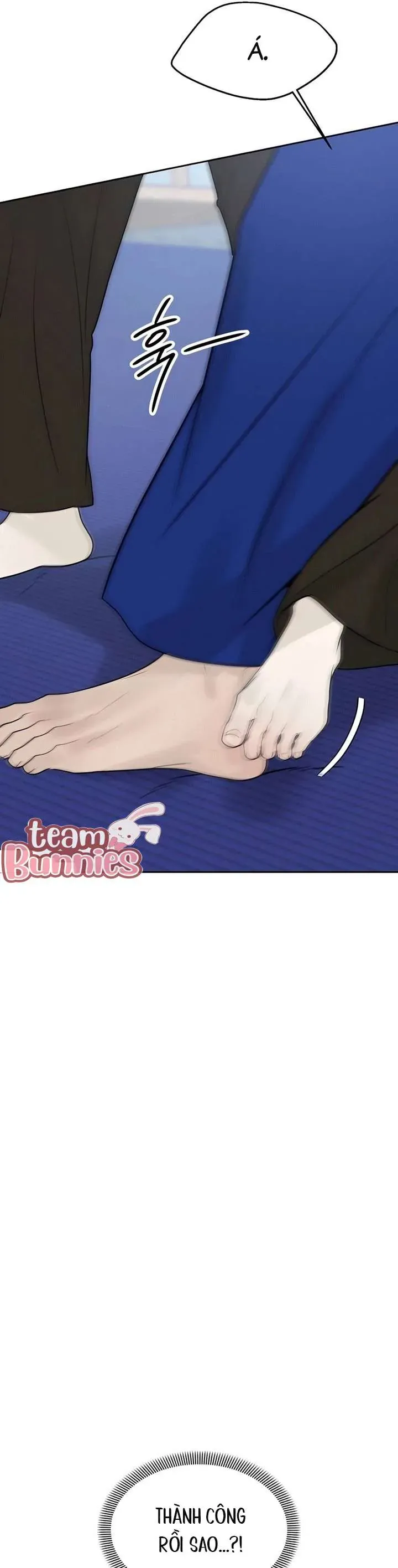 Sự Thâm Nhập Dịu Dàng Chap 28 - Next Chap 27