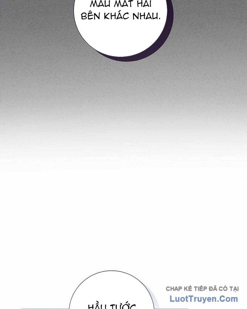 Ma Pháp Quân Chủ Chap 45 - Next Chap 44