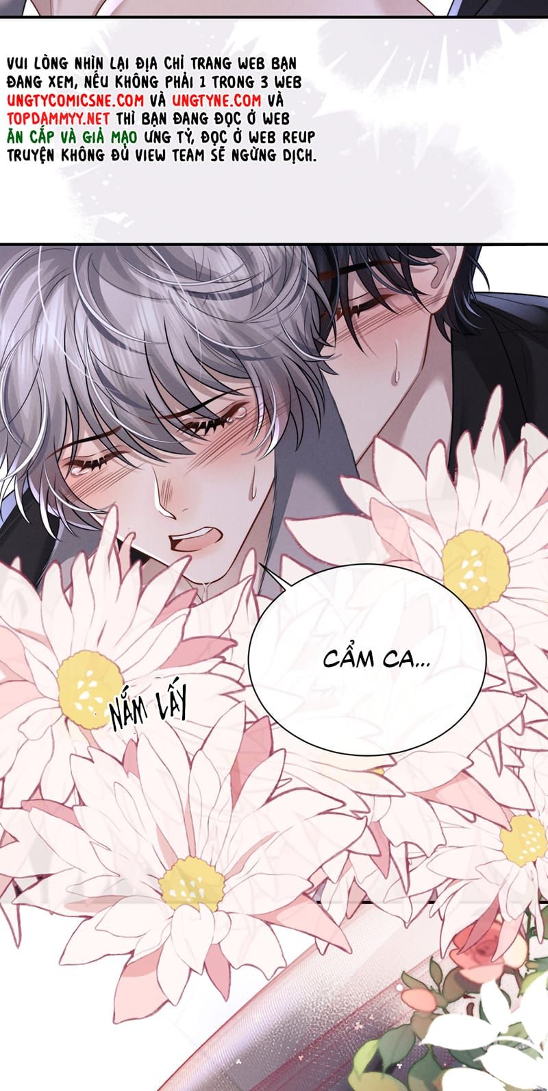 Chấp Sự Thỏ Cụp Tai Chap 194 - Next Chap 193