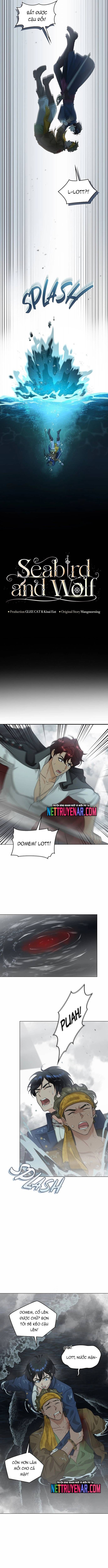 Hải Âu &amp; Sói Hoang [Chap 47-71]