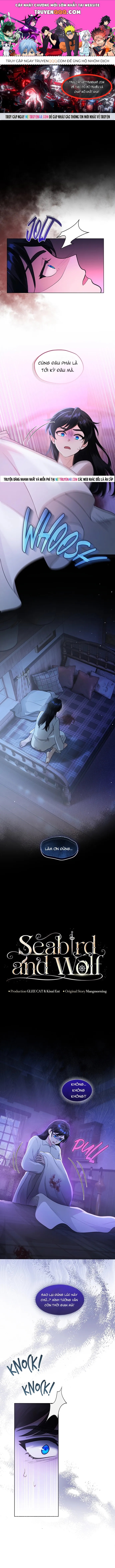Hải Âu & Sói Hoang Chap 60 - Next Chap 59
