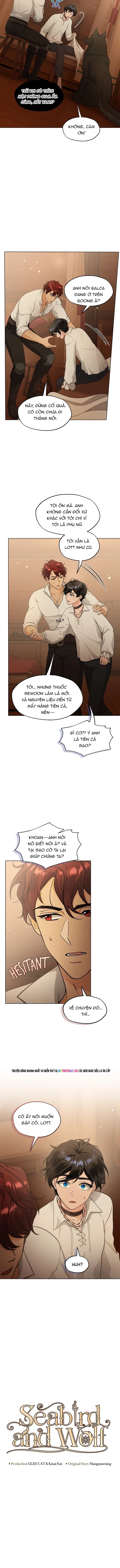 Hải Âu & Sói Hoang Chap 63 - Next Chap 62