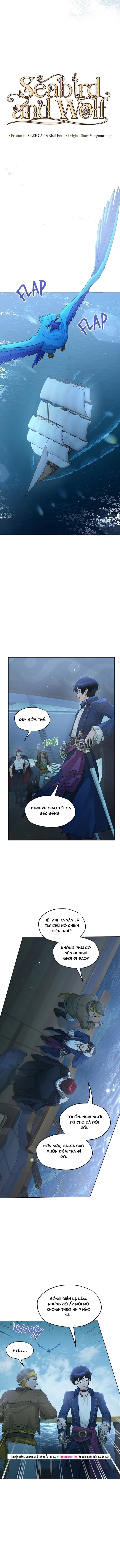 Hải Âu & Sói Hoang Chap 64 - Next Chap 63