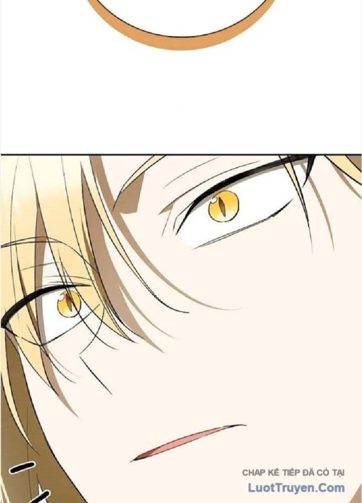Tái Sinh Thành Tam Thiếu Gia Nhà Đại Công Tước Chap 13 - Next Chap 12