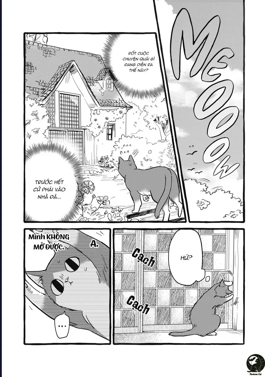 Liệu Có Thể Tìm Được Một Công Việc Lâu Dài Không? Bắt Đầu Cuộc Sống Mới Với Một Vị Pháp Sư Ít Nói Và Khó Gần~ Chap 10 - Next Chap 9