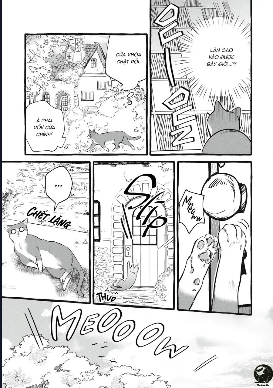 Liệu Có Thể Tìm Được Một Công Việc Lâu Dài Không? Bắt Đầu Cuộc Sống Mới Với Một Vị Pháp Sư Ít Nói Và Khó Gần~ Chap 10 - Next Chap 9