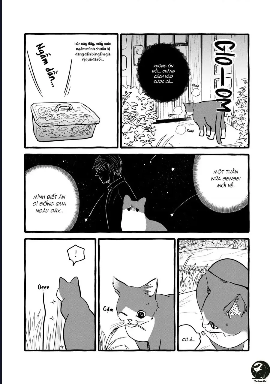 Liệu Có Thể Tìm Được Một Công Việc Lâu Dài Không? Bắt Đầu Cuộc Sống Mới Với Một Vị Pháp Sư Ít Nói Và Khó Gần~ Chap 10 - Next Chap 9