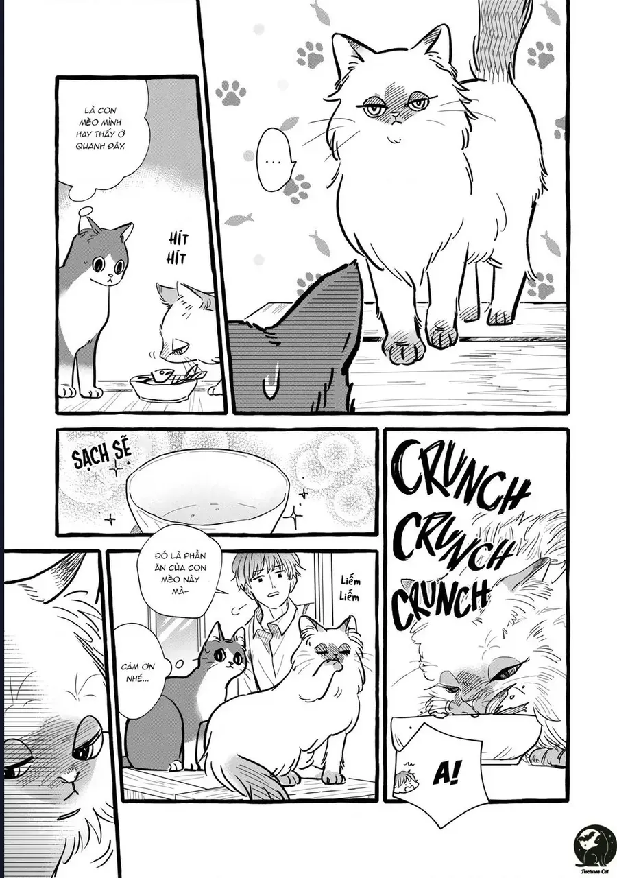 Liệu Có Thể Tìm Được Một Công Việc Lâu Dài Không? Bắt Đầu Cuộc Sống Mới Với Một Vị Pháp Sư Ít Nói Và Khó Gần~ Chap 10 - Next Chap 9