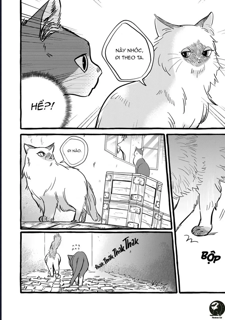 Liệu Có Thể Tìm Được Một Công Việc Lâu Dài Không? Bắt Đầu Cuộc Sống Mới Với Một Vị Pháp Sư Ít Nói Và Khó Gần~ Chap 10 - Next Chap 9