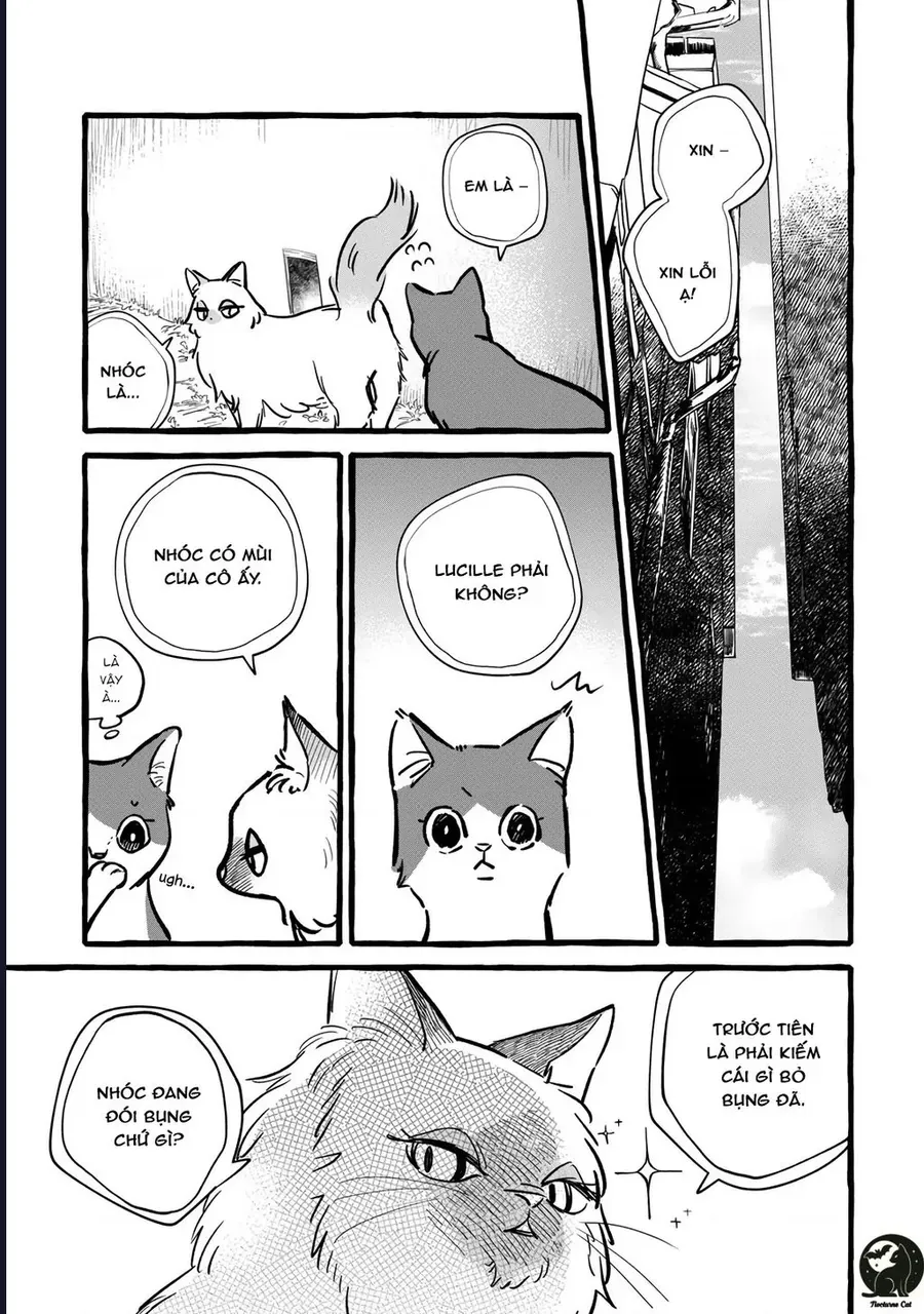 Liệu Có Thể Tìm Được Một Công Việc Lâu Dài Không? Bắt Đầu Cuộc Sống Mới Với Một Vị Pháp Sư Ít Nói Và Khó Gần~ Chap 10 - Next Chap 9