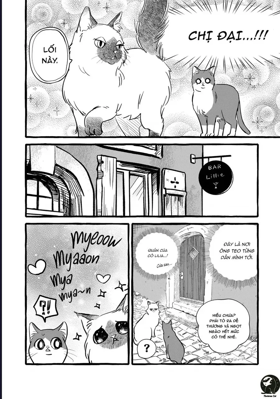 Liệu Có Thể Tìm Được Một Công Việc Lâu Dài Không? Bắt Đầu Cuộc Sống Mới Với Một Vị Pháp Sư Ít Nói Và Khó Gần~ Chap 10 - Next Chap 9