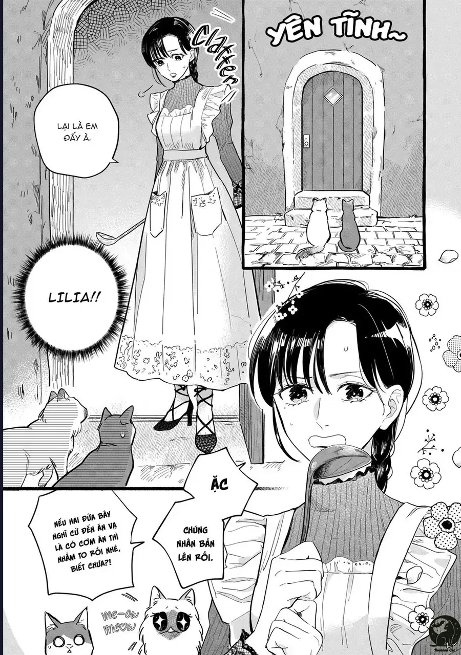 Liệu Có Thể Tìm Được Một Công Việc Lâu Dài Không? Bắt Đầu Cuộc Sống Mới Với Một Vị Pháp Sư Ít Nói Và Khó Gần~ Chap 10 - Next Chap 9