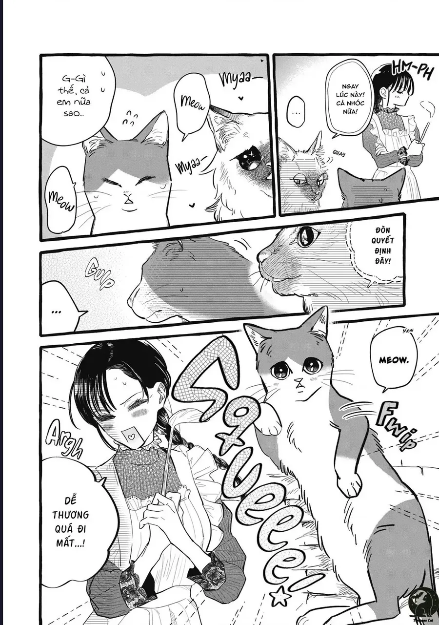 Liệu Có Thể Tìm Được Một Công Việc Lâu Dài Không? Bắt Đầu Cuộc Sống Mới Với Một Vị Pháp Sư Ít Nói Và Khó Gần~ Chap 10 - Next Chap 9