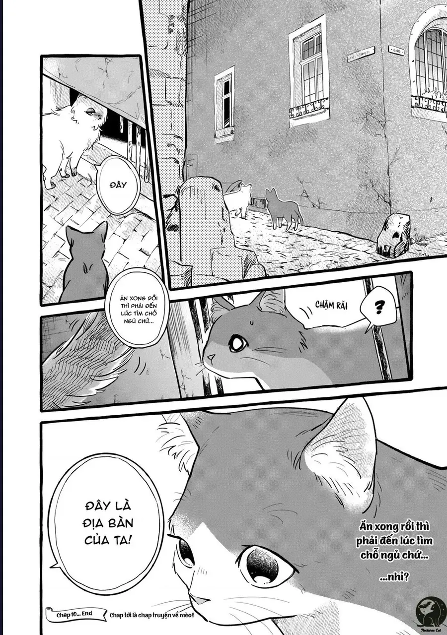 Liệu Có Thể Tìm Được Một Công Việc Lâu Dài Không? Bắt Đầu Cuộc Sống Mới Với Một Vị Pháp Sư Ít Nói Và Khó Gần~ Chap 10 - Next Chap 9