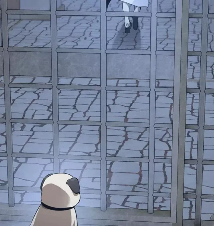 Ta Học Trảm Thần Trong Bệnh Viện Tâm Thần Chap 312 - Next Chap 311