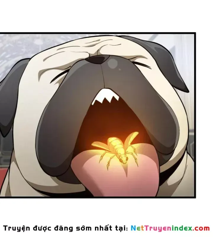 Ta Học Trảm Thần Trong Bệnh Viện Tâm Thần Chap 312 - Next Chap 311