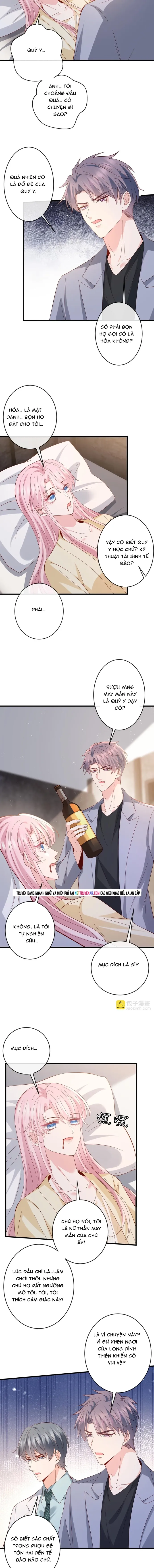 Danh Môn Chí Ái Chap 540 - Next Chap 539