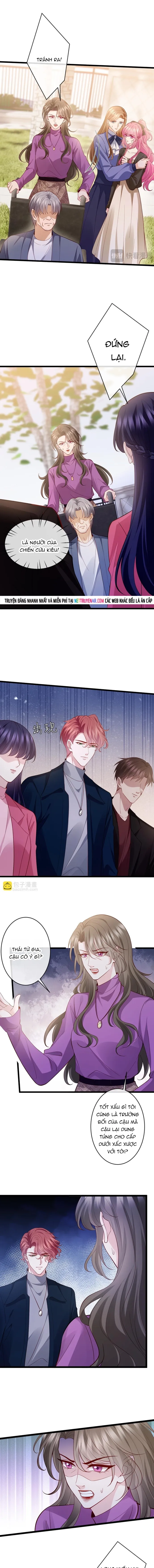 Danh Môn Chí Ái Chap 543 - Next Chap 542