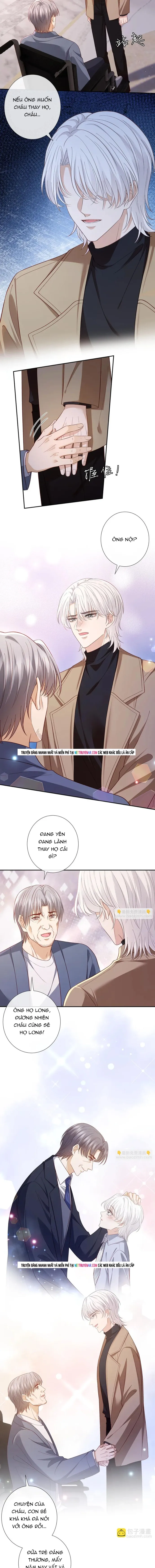 Danh Môn Chí Ái Chap 546 - Next Chap 543