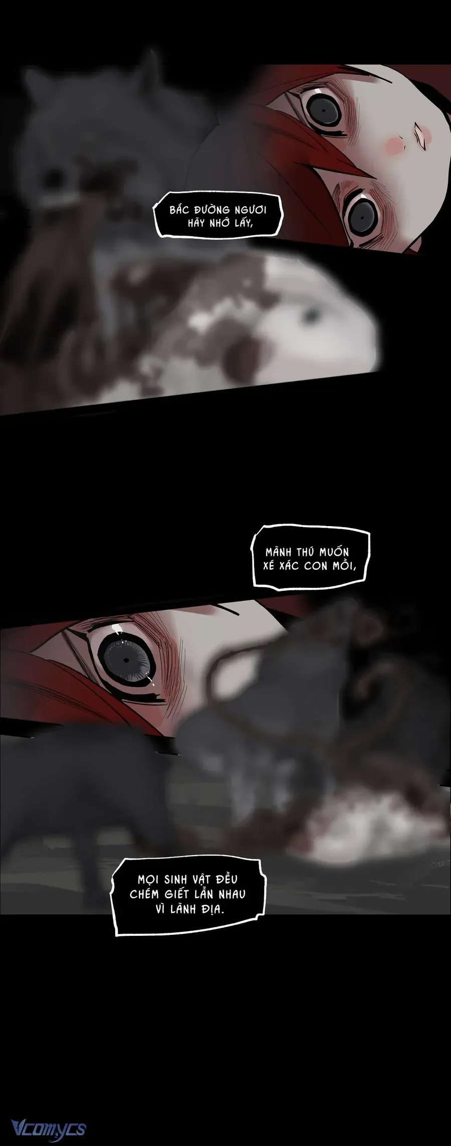 Vì Tinh Tú Bất Diệt [Chap 1-18]