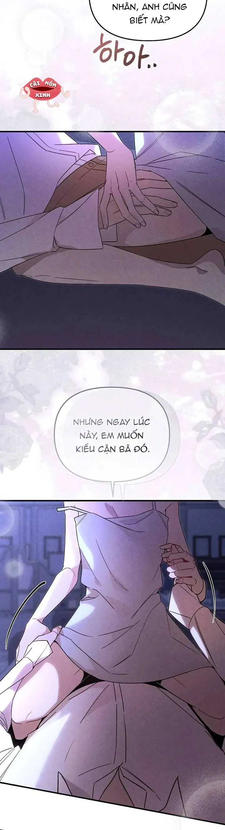 Nơi Đóa Hồng Vàng Úa Tàn Chap 27 - Next Chap 26