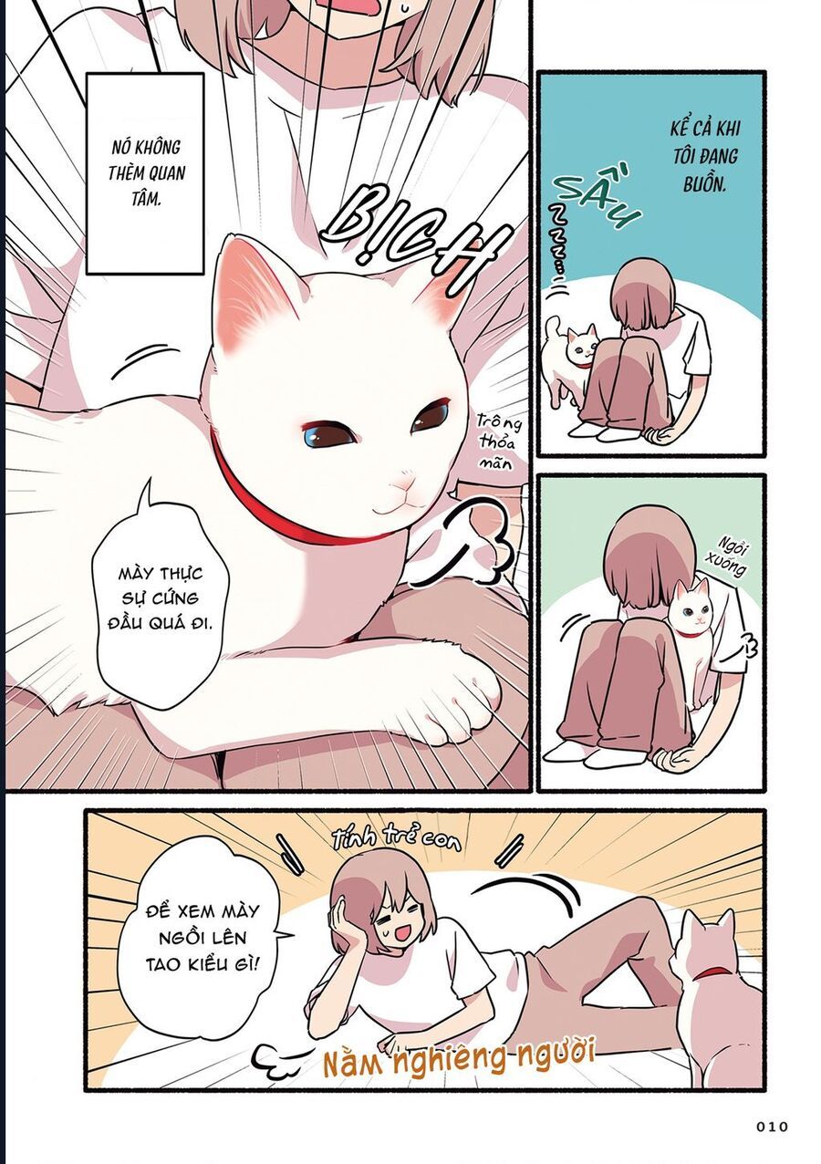 Miko, Cô Mèo Trắng Muốn Được Yêu Thương Chap 1