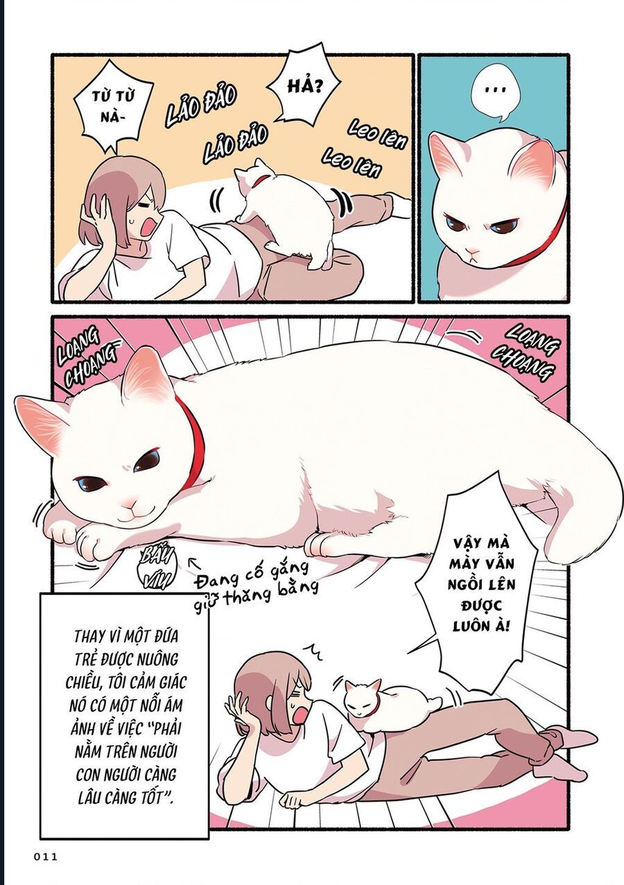 Miko, Cô Mèo Trắng Muốn Được Yêu Thương Chap 1