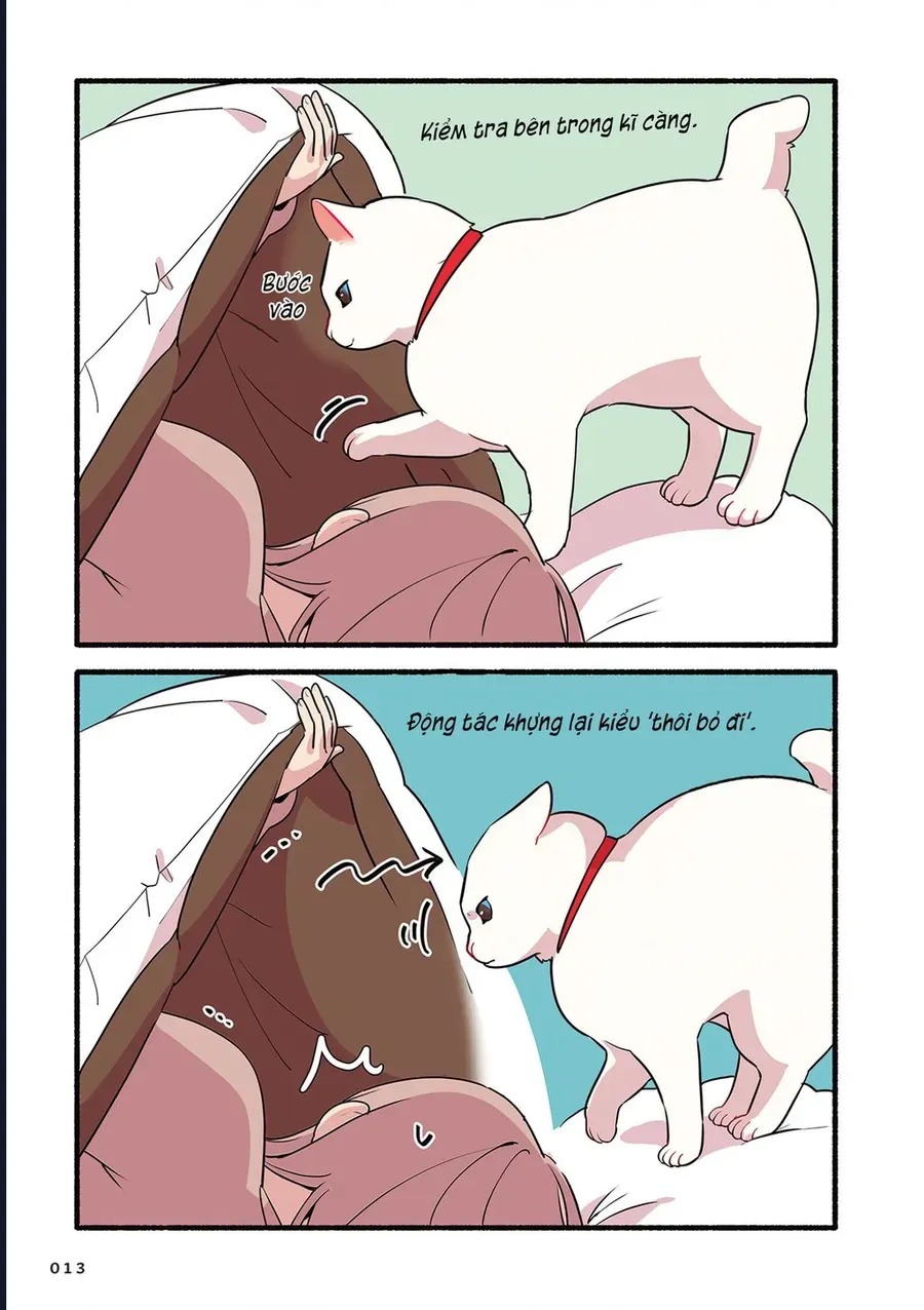 Miko, Cô Mèo Trắng Muốn Được Yêu Thương Chap 2 - Next Chap 1