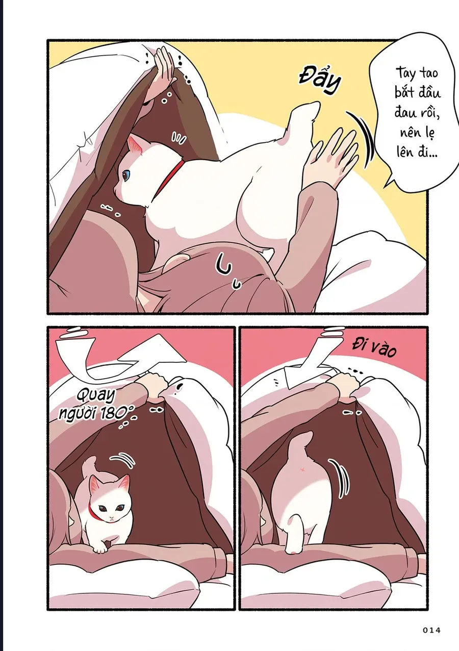 Miko, Cô Mèo Trắng Muốn Được Yêu Thương Chap 2 - Next Chap 1