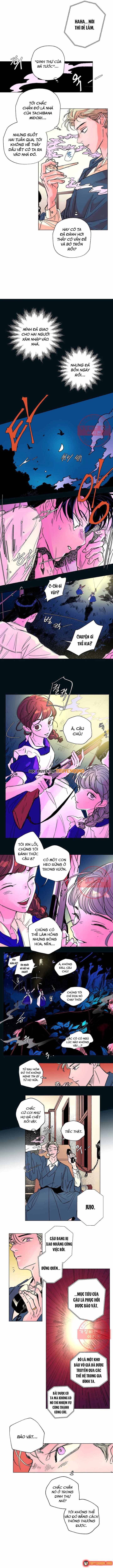 Bá Tước Tachibana Chap 25 - Next Chap 24