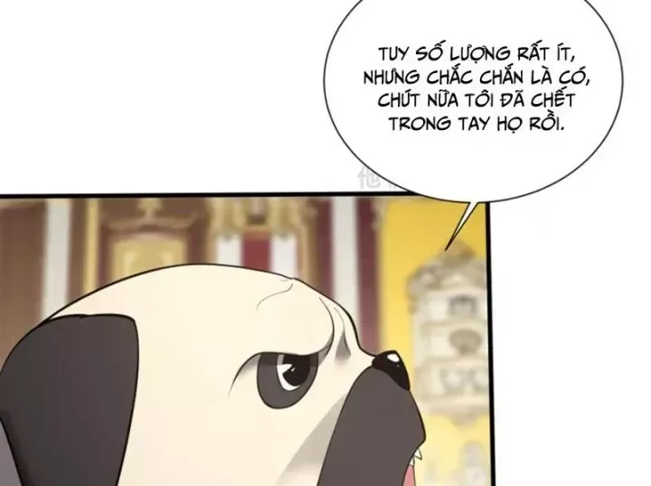 Ta Học Trảm Thần Trong Bệnh Viện Tâm Thần Chap 313 - Next Chap 312