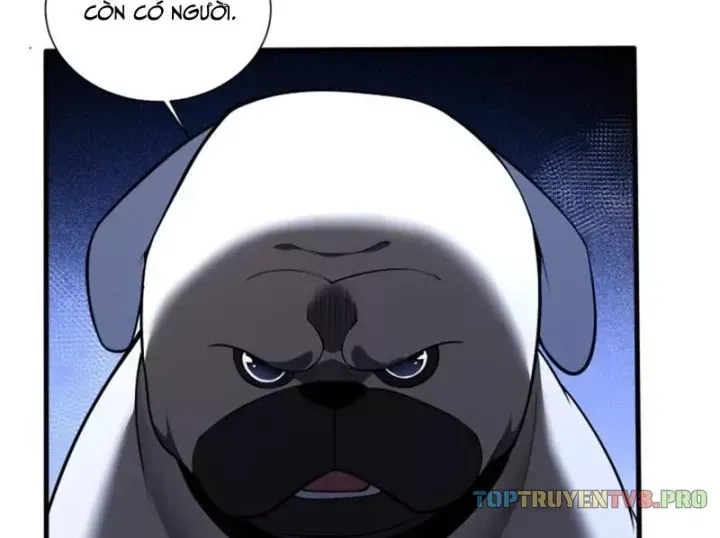 Ta Học Trảm Thần Trong Bệnh Viện Tâm Thần Chap 313 - Next Chap 312