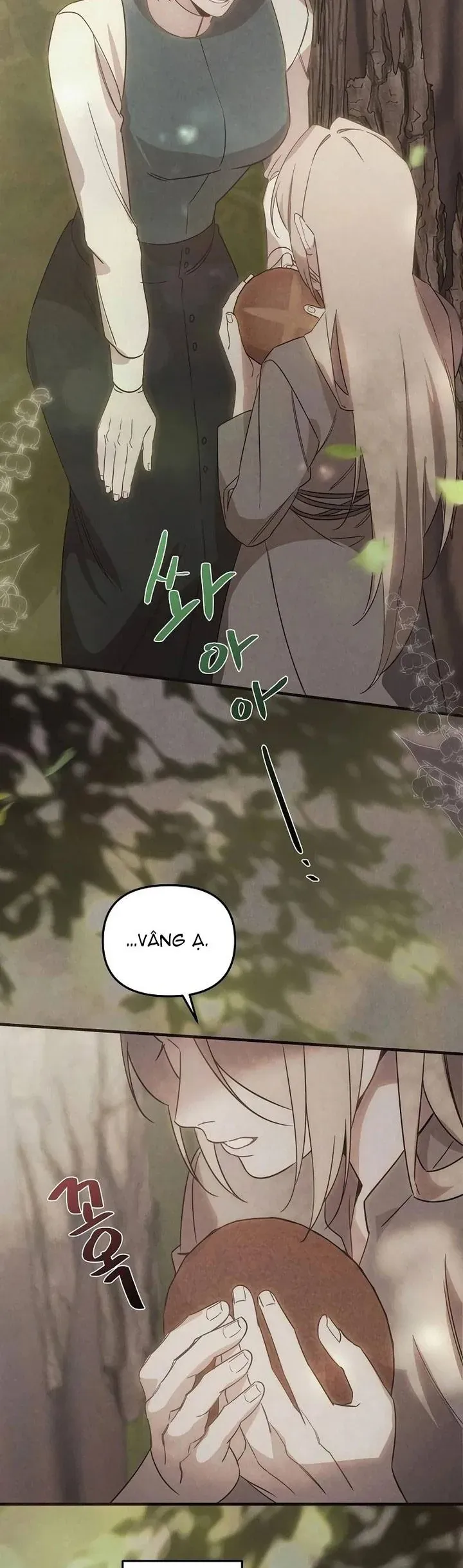 Nơi Đóa Hồng Vàng Úa Tàn Chap 28 - Next Chap 27