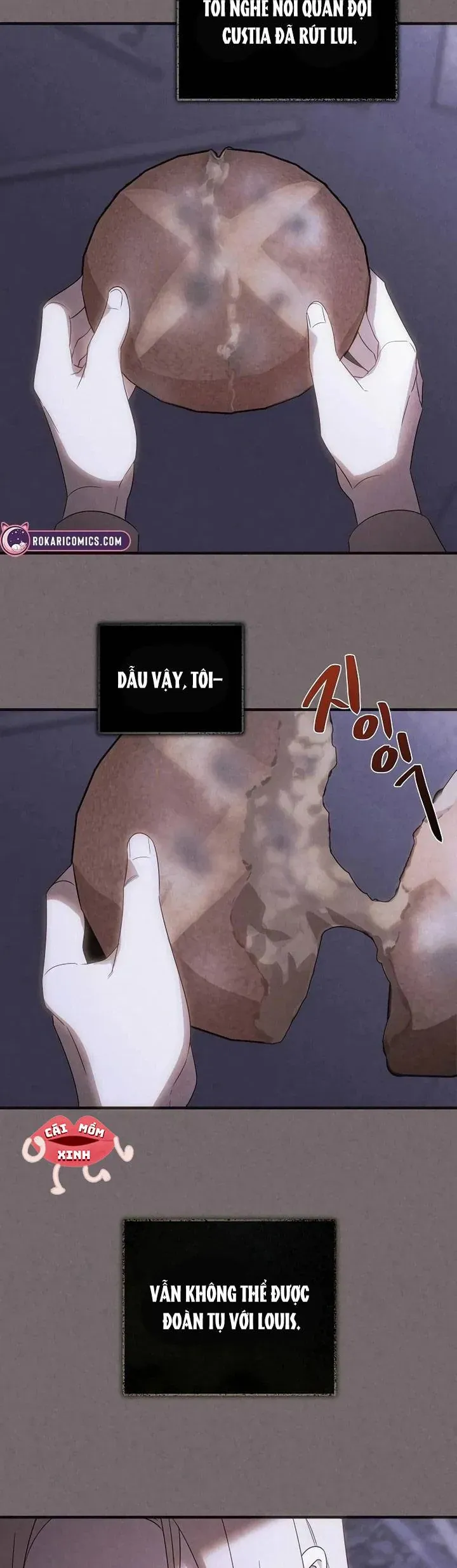 Nơi Đóa Hồng Vàng Úa Tàn Chap 28 - Next Chap 27