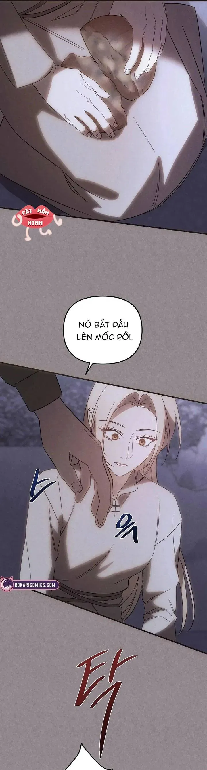 Nơi Đóa Hồng Vàng Úa Tàn Chap 28 - Next Chap 27