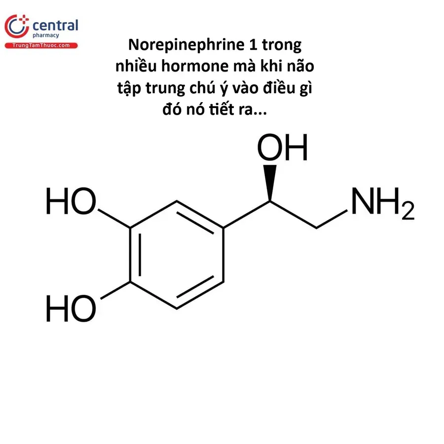Hổ Đến Chơi Nhà Chap 176 - Next Chap 175