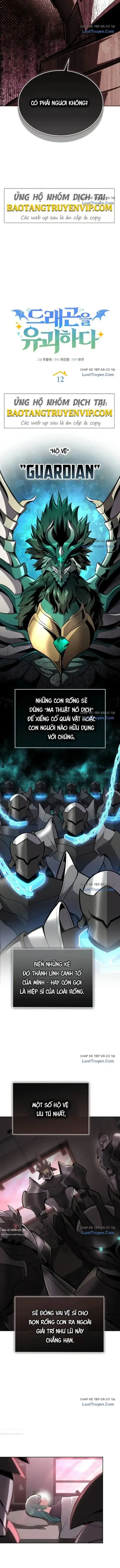 Hồi Quy Trở Thành Người Bảo Hộ Rồng Chap 12 - Next Chap 11