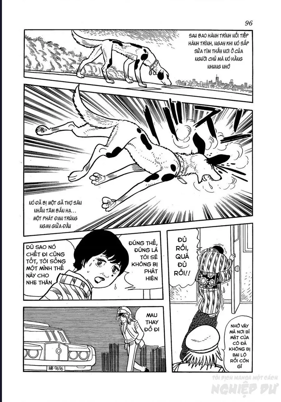 Black Jack Gaiden: Midnight Chap 30 - Next Chap 29