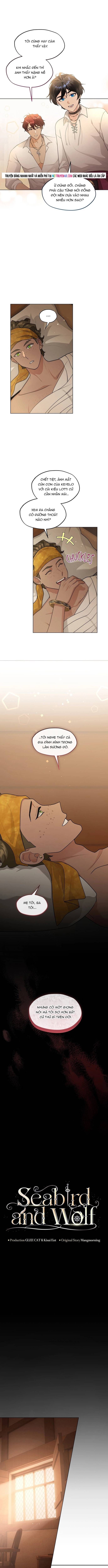 Hải Âu &amp; Sói Hoang [Chap 47-74]